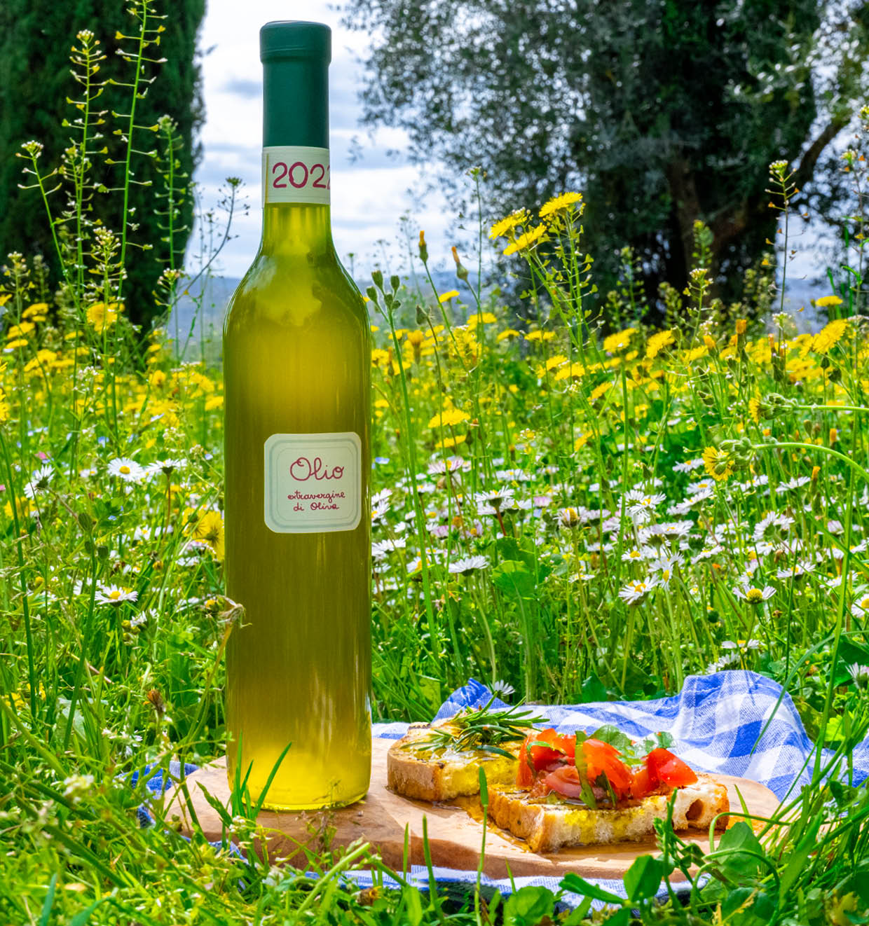 Olivenöl Extravergine 2022 (0,5 l)<br>'La Vialla'