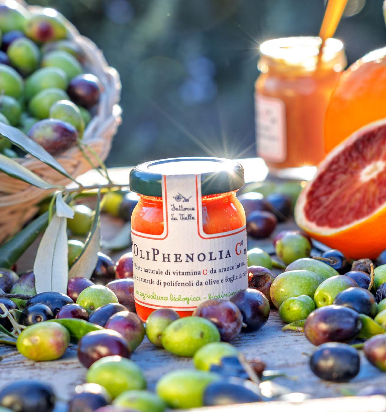 OliPhenolia C mit Orangen