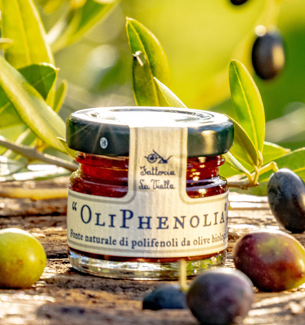 OliPhenolia mit Traubensaft