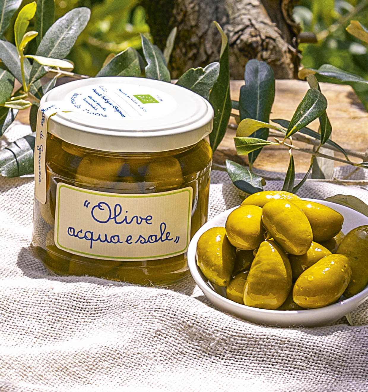 Olives Water and Salt