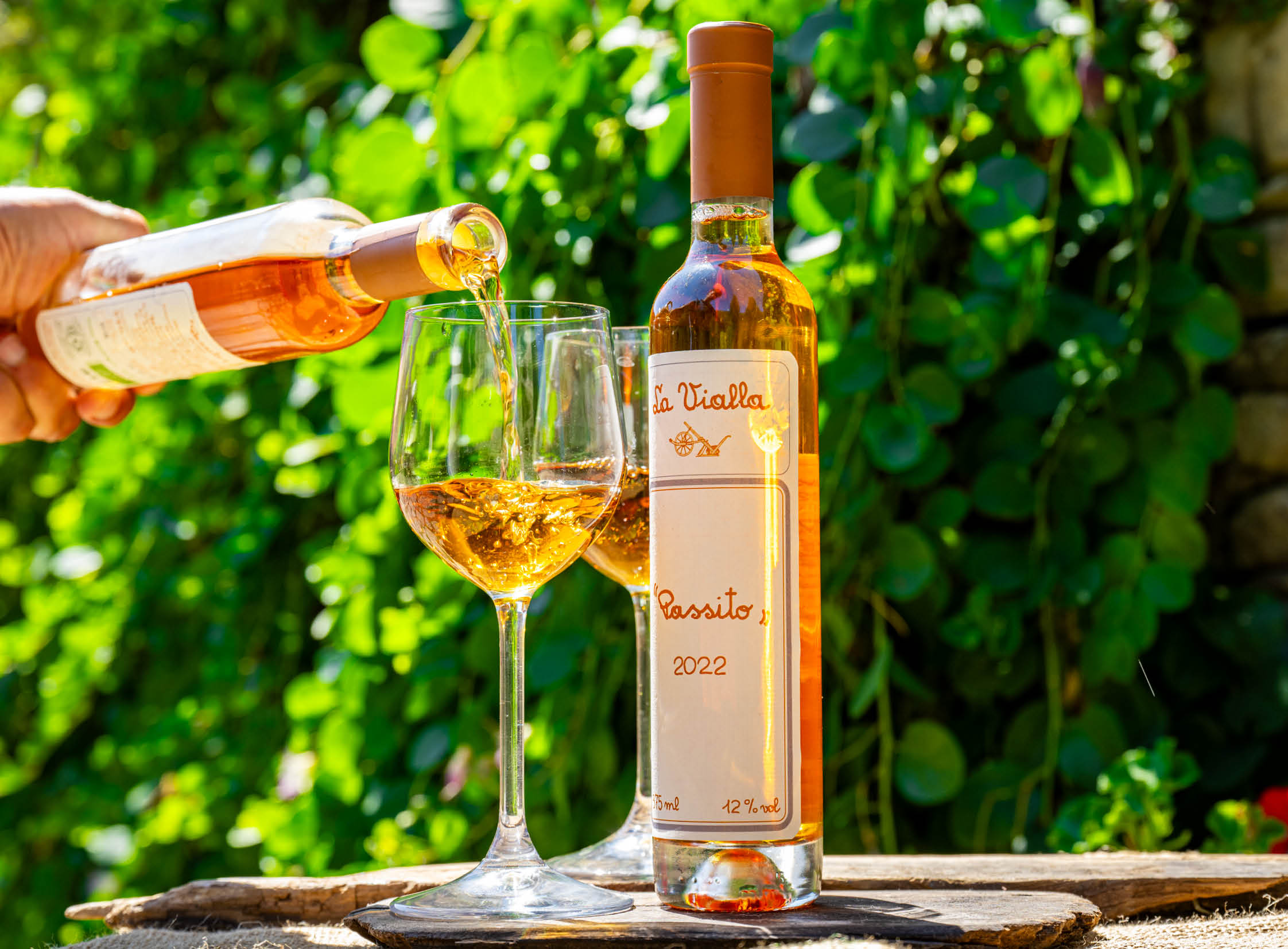 Dessert wine, 100 zibibbo Passito I.G.T. 2022 (Box with 3 bottles of 0