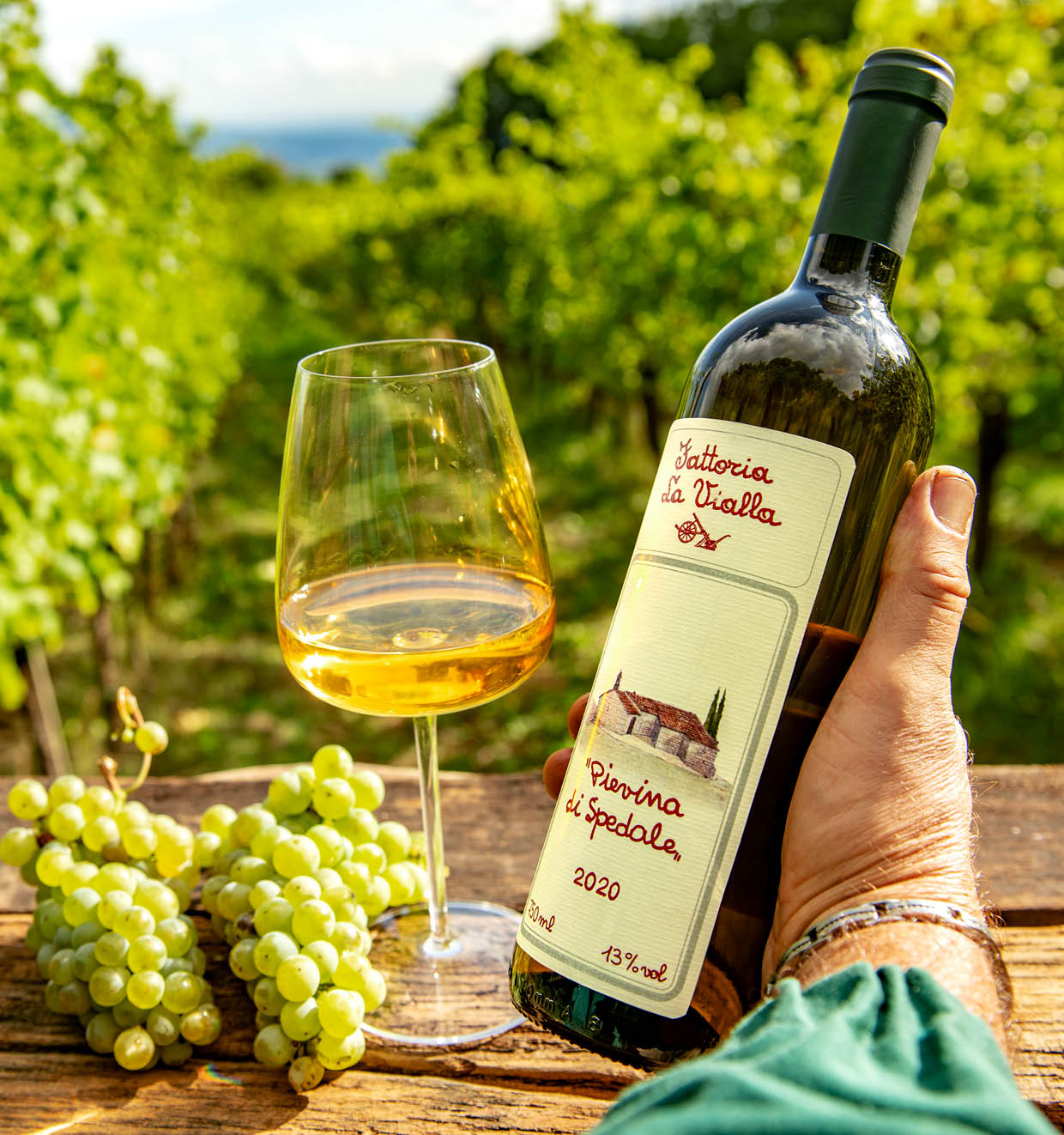 Pievina di Spedale I.G.T. 2020