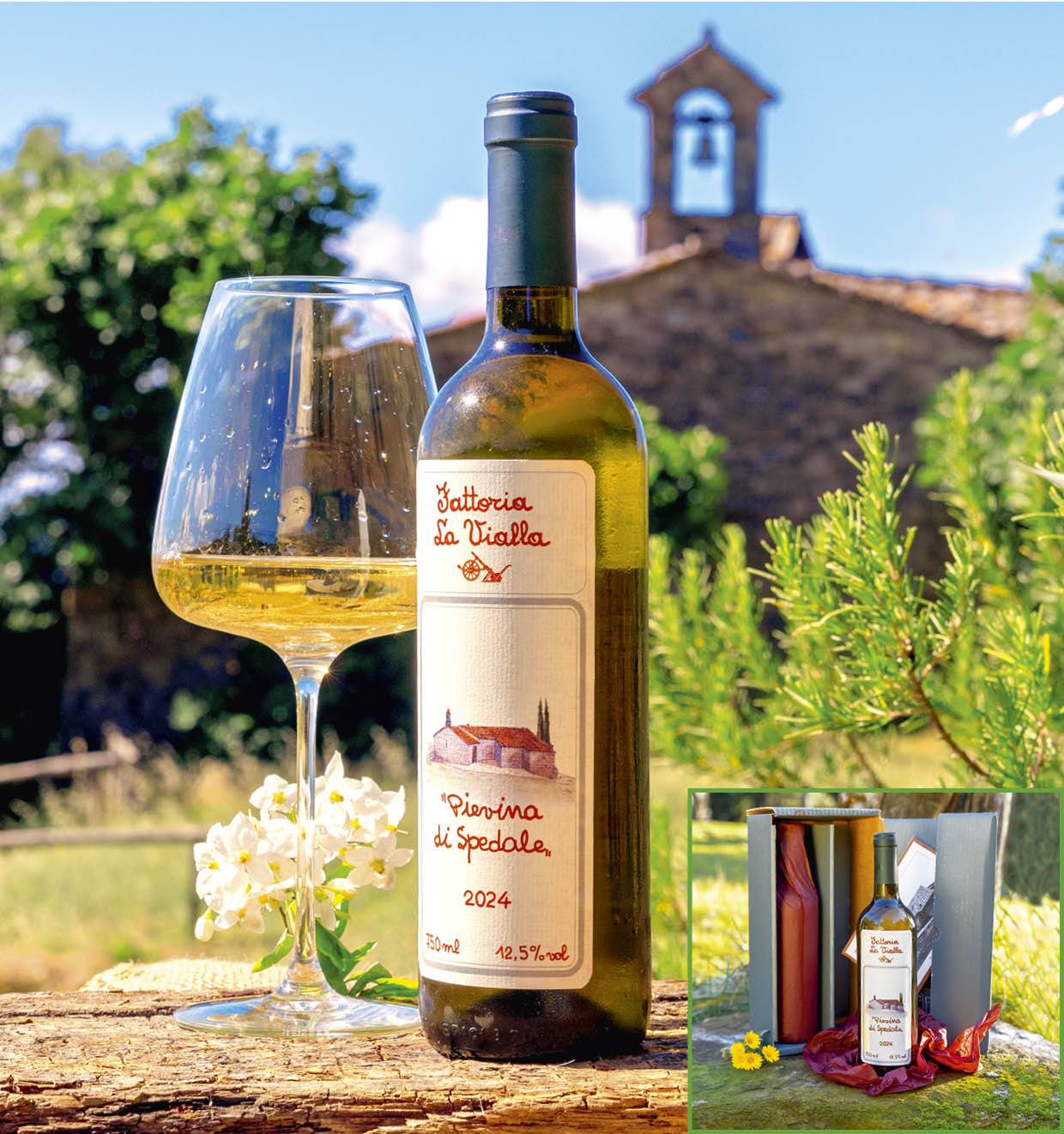 Pievina di Spedale I.G.T. 2024