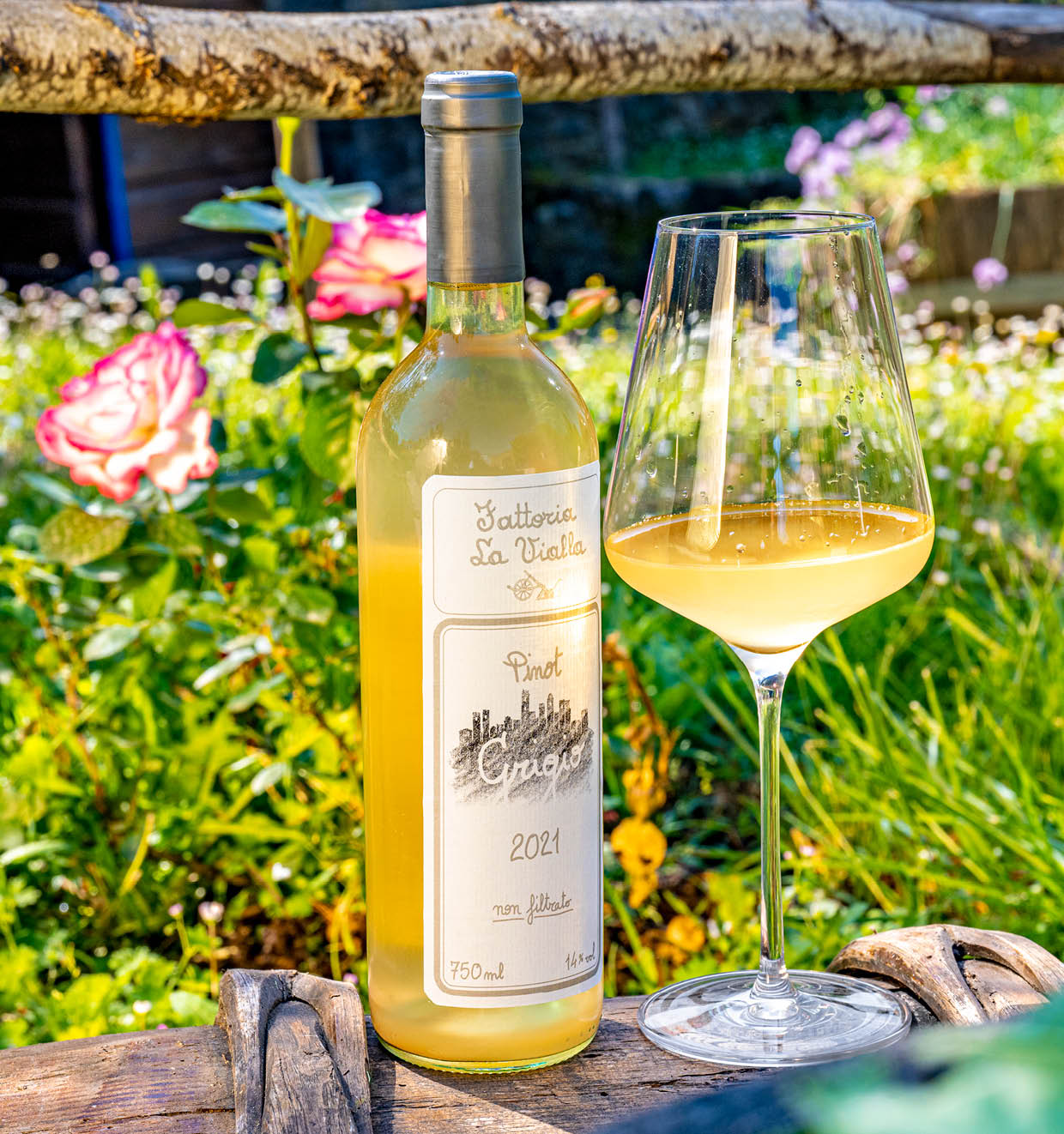 Pinot Grigio I.G.T. 2021