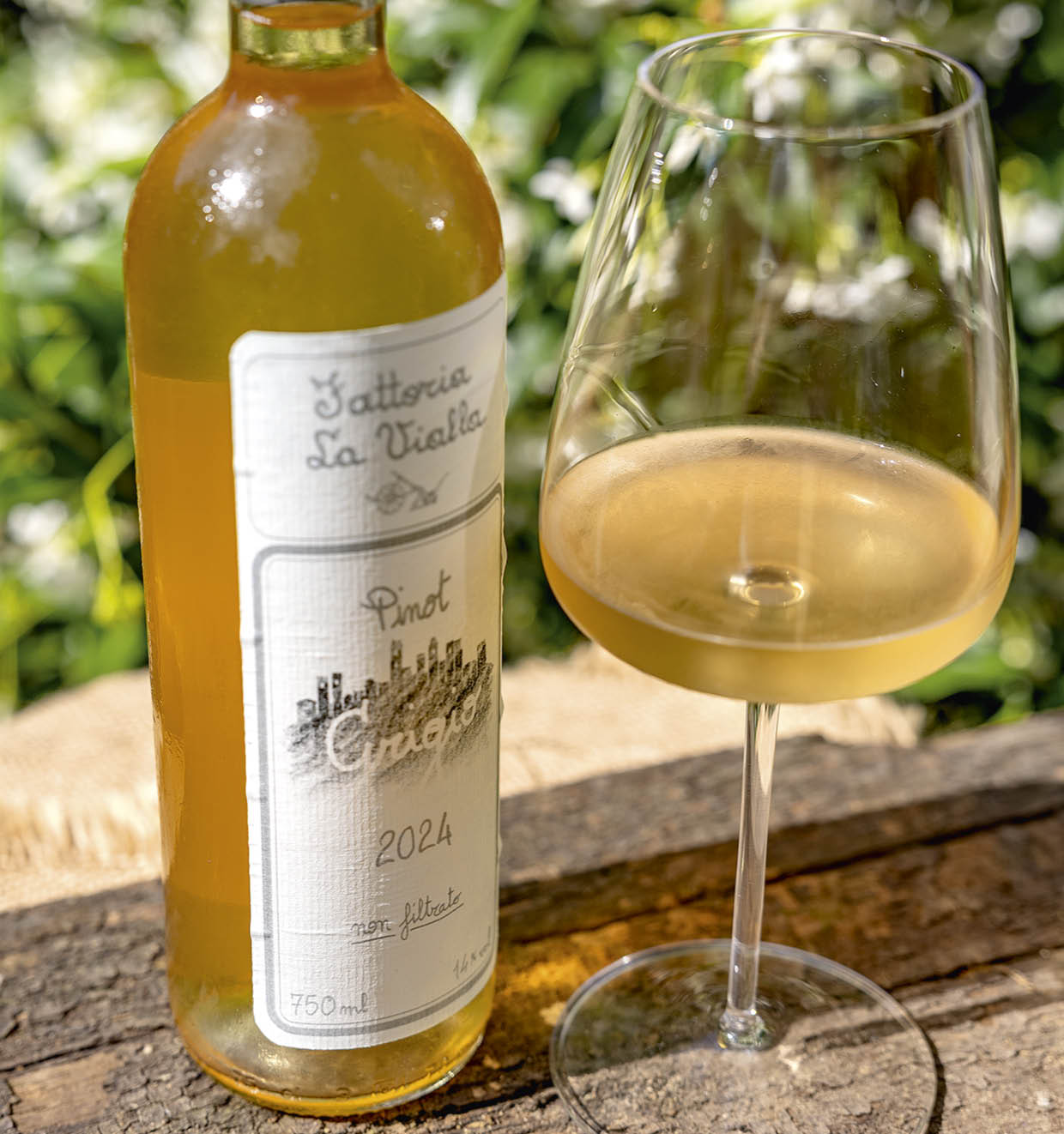 Pinot Grigio I.G.T. 2024
