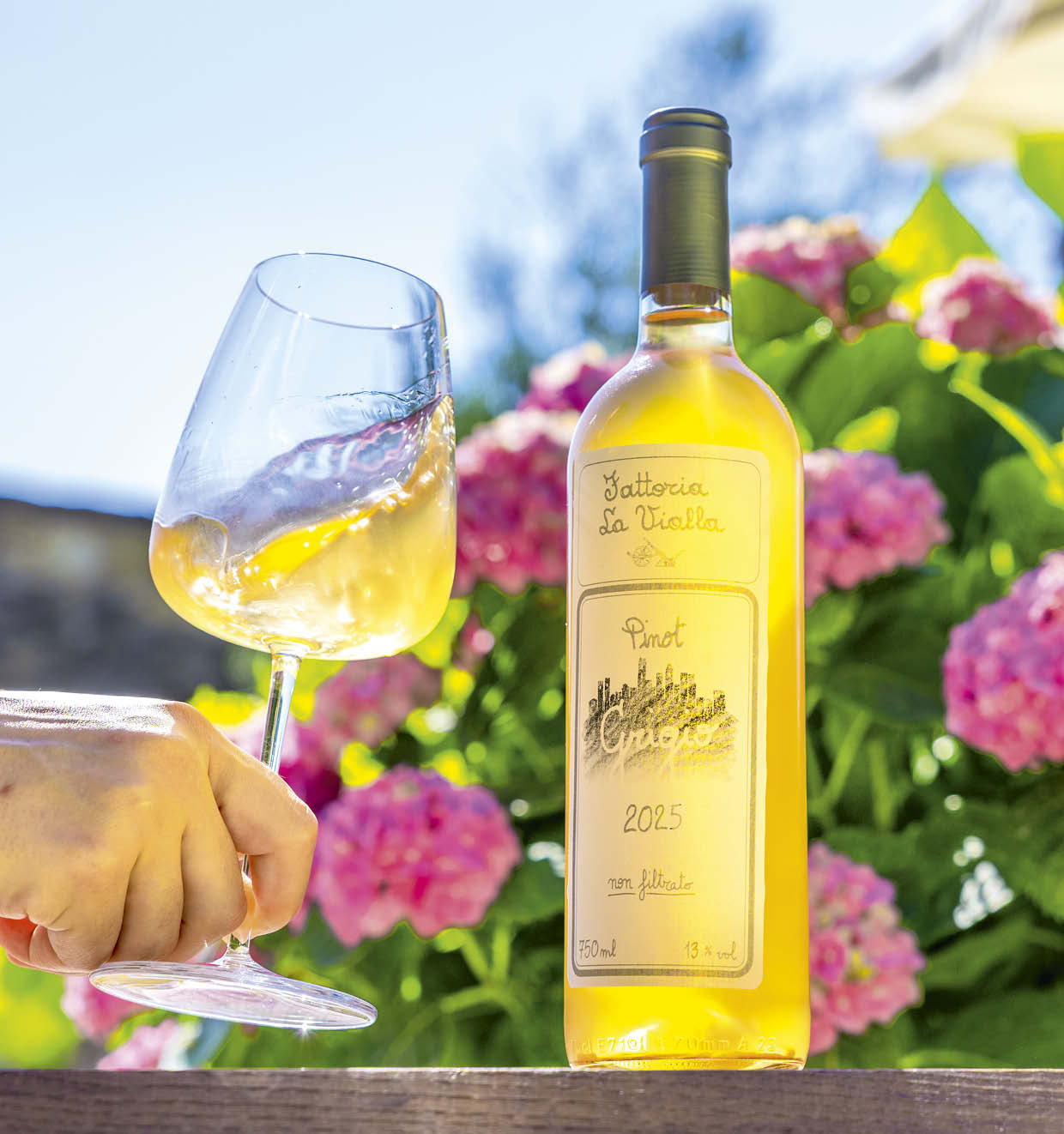 Pinot Grigio I.G.T. 2025