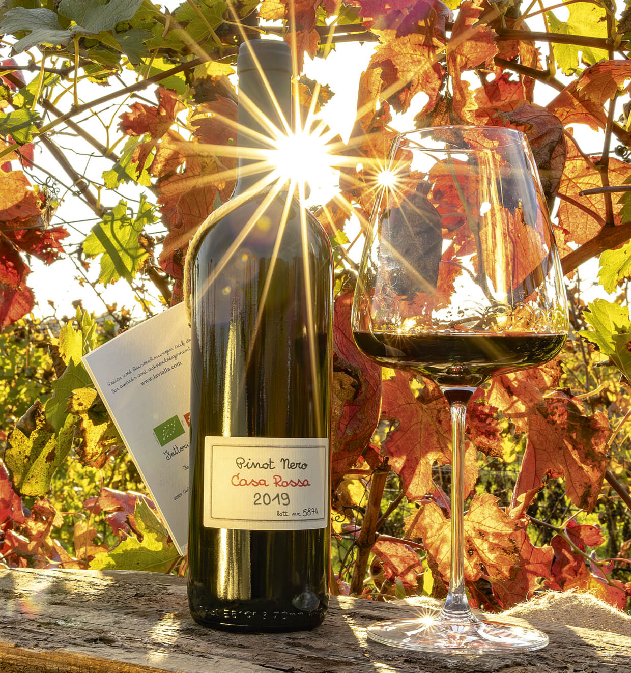 Pinot Nero Casa Rossa I.G.T. 2019