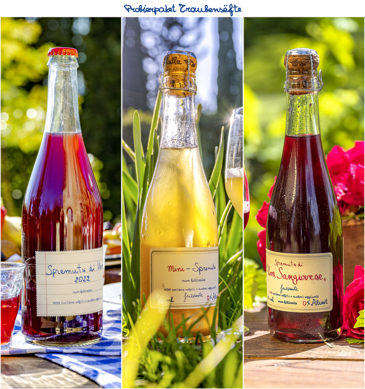 Probierpaket Traubensaft