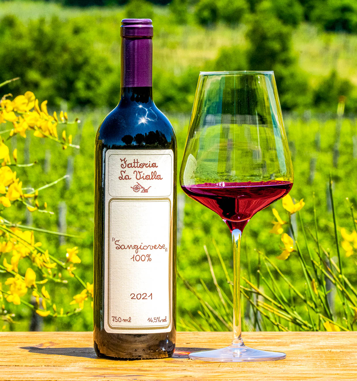 Sangiovese 100% I.G.T. 2021