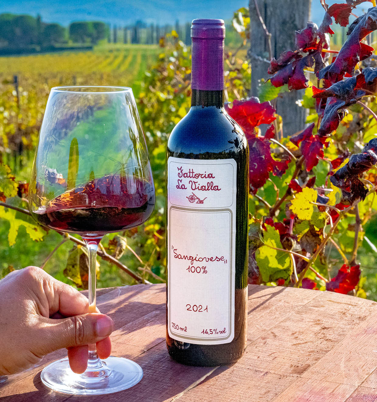 Sangiovese 100% I.G.T. 2021