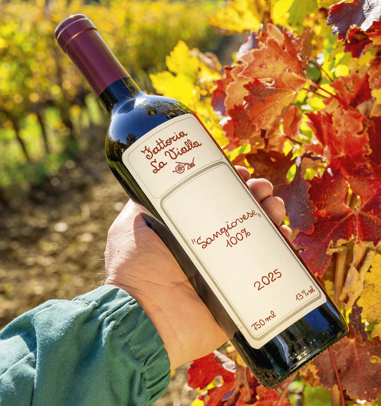 Sangiovese 100% I.G.T. Toscana 2025