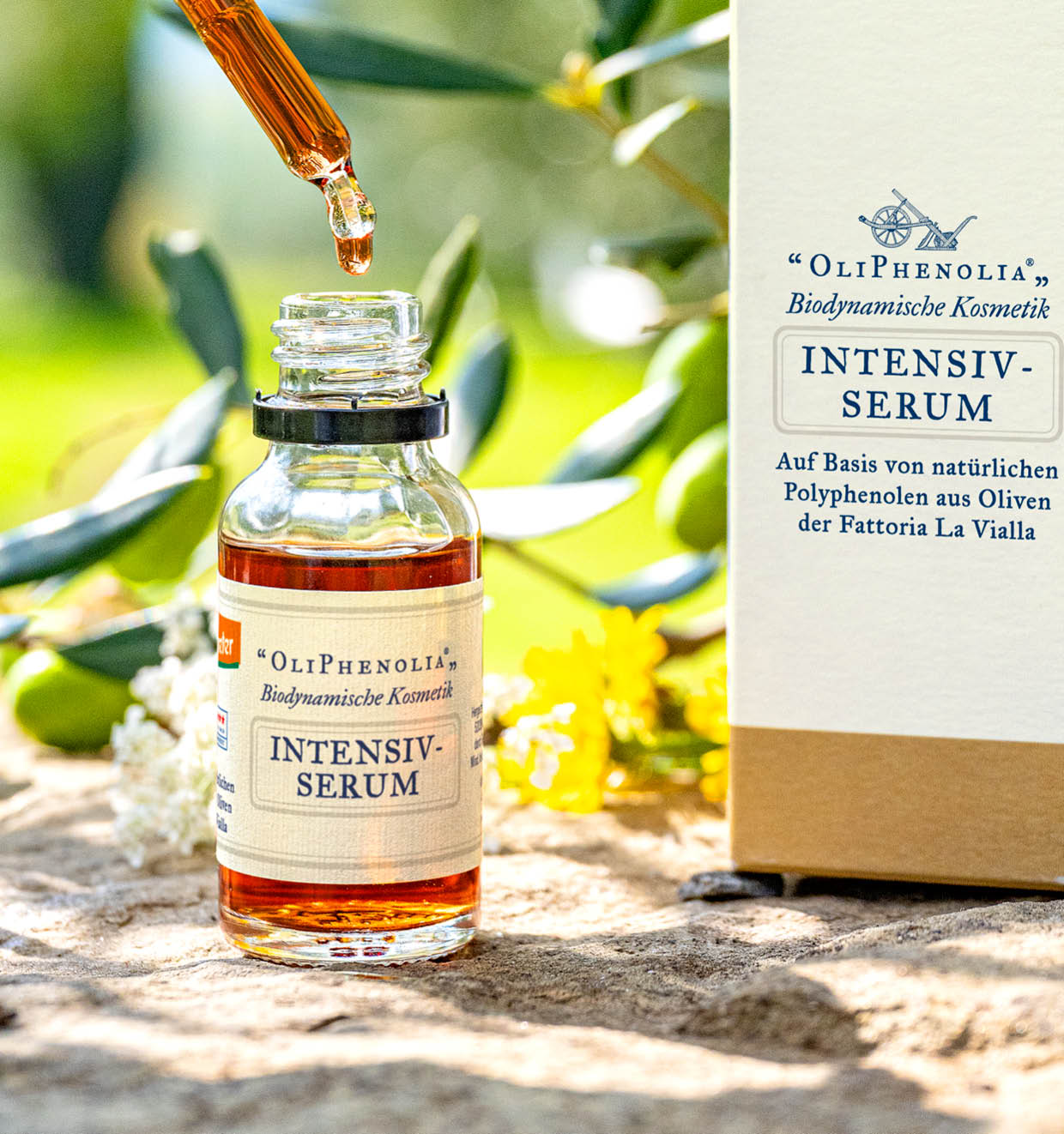 Intensiv-Serum