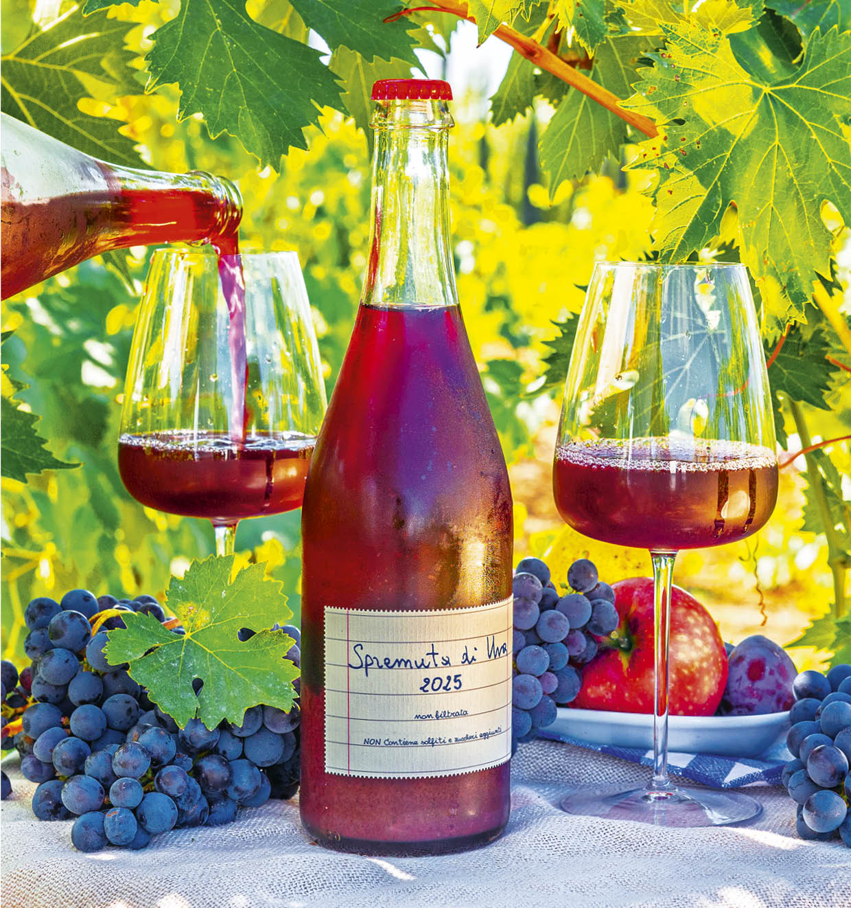 Spremuta di Uva 2025