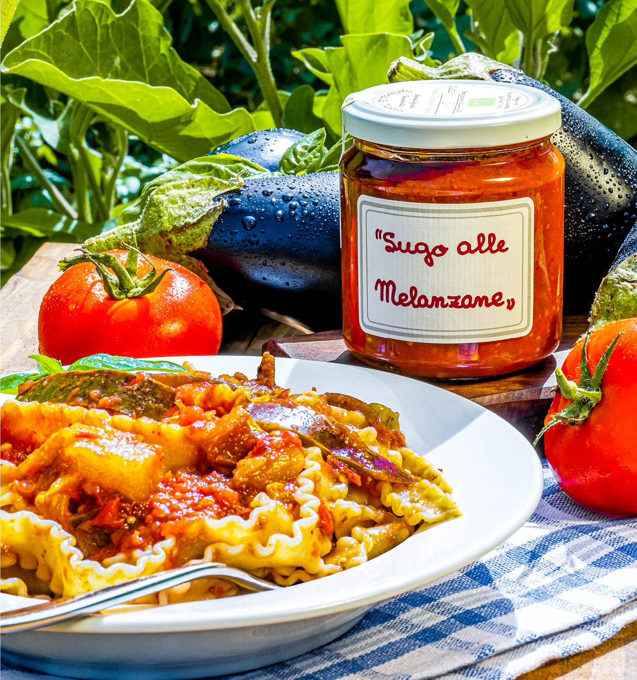 Tomato and Aubergine Sauce