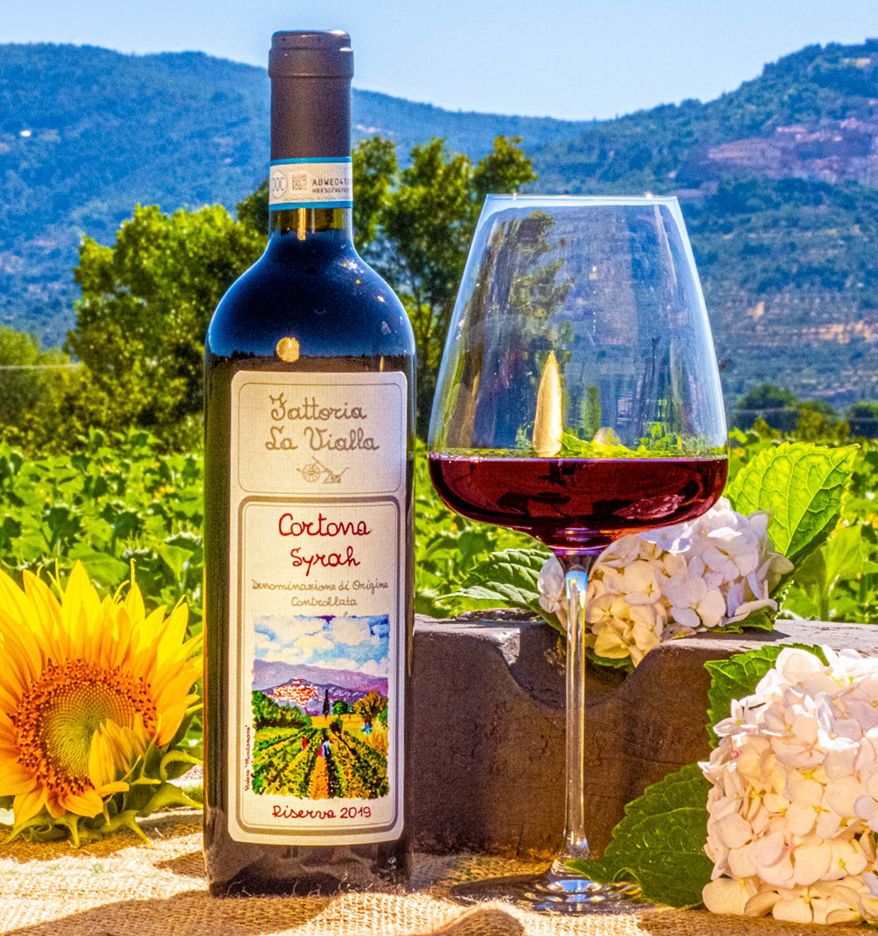 Cortona Syrah D.O.C. Riserva 2019