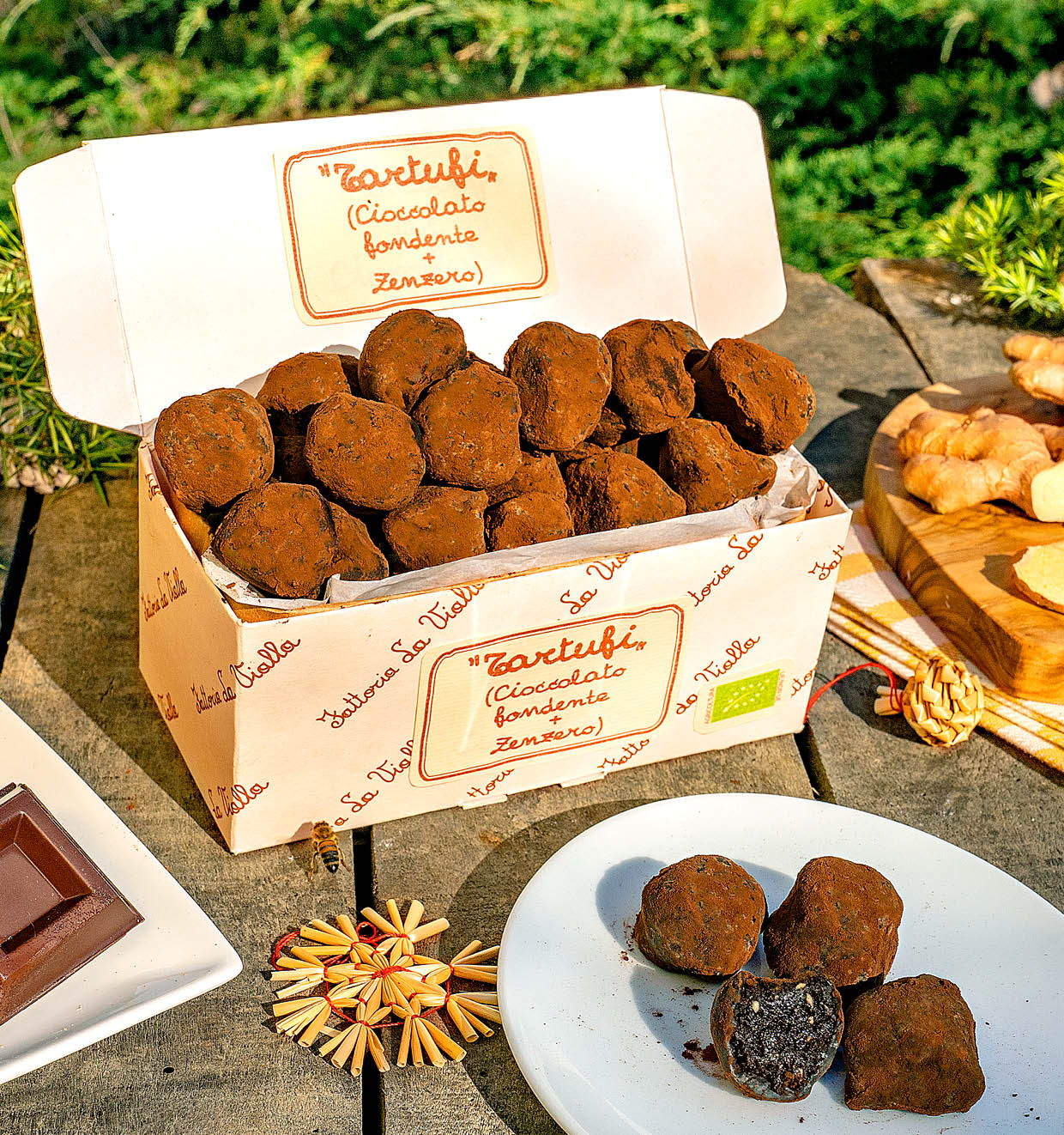 Biologische pure Chocoladetruffels met Gember