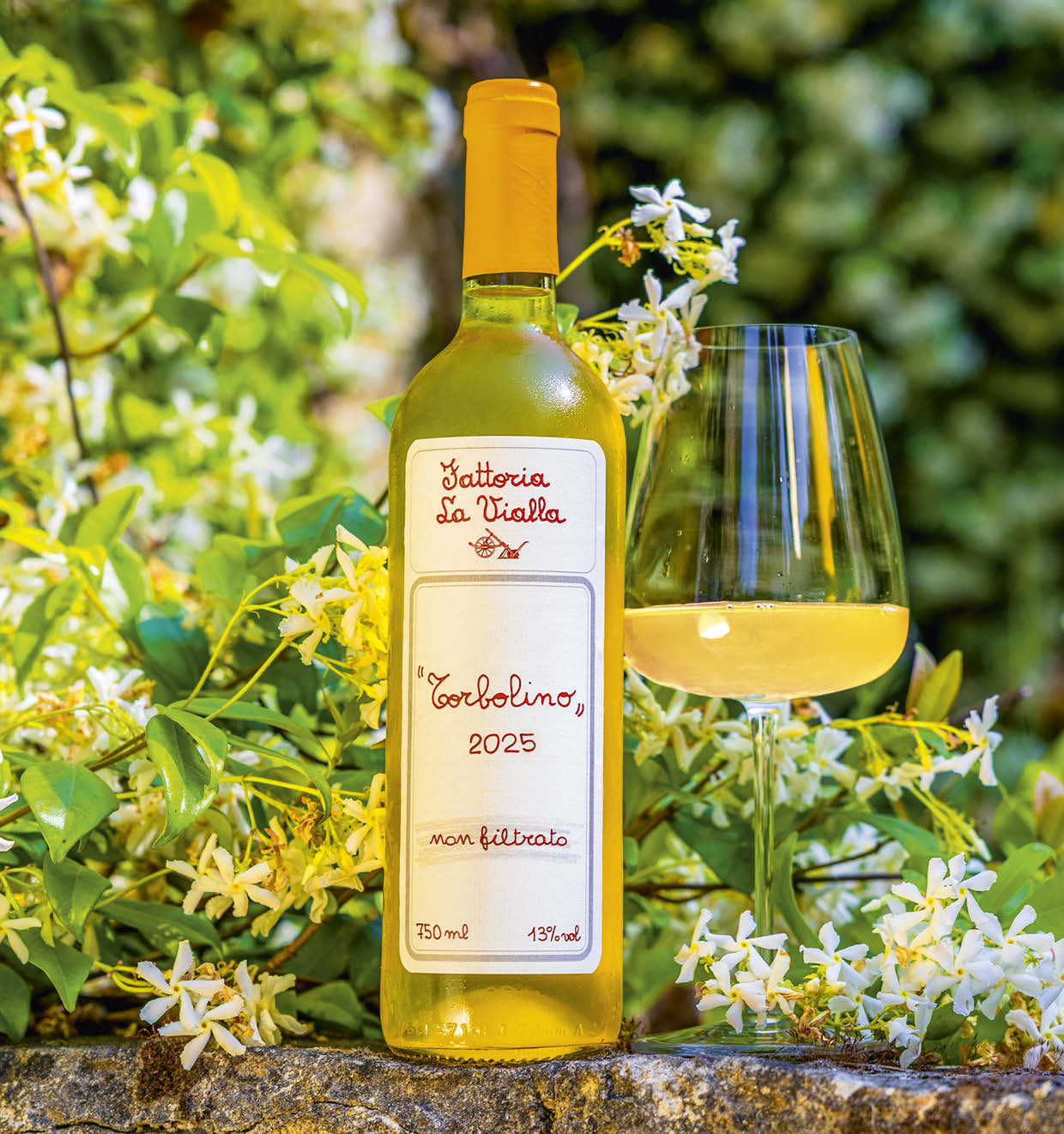 Torbolino non filtrato 2025