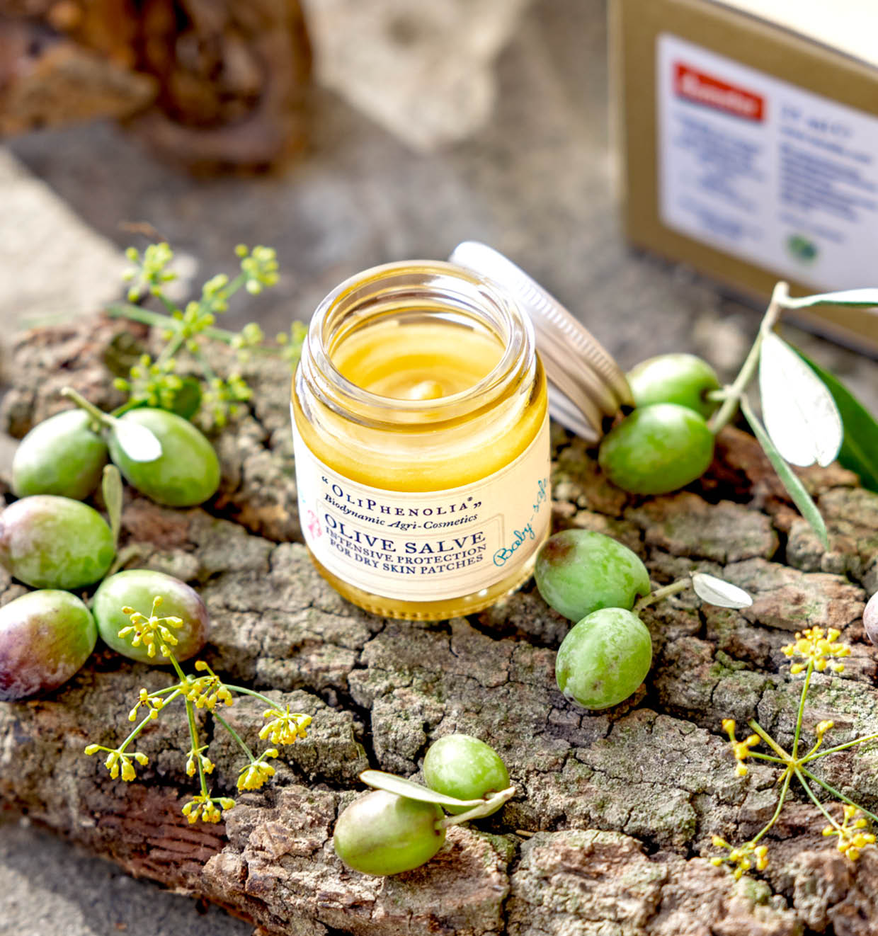 Olive Salve
