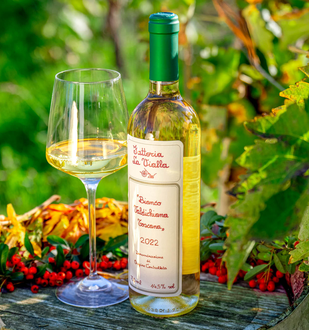 Bianco Valdichiana Toscana D.O.C. 2022