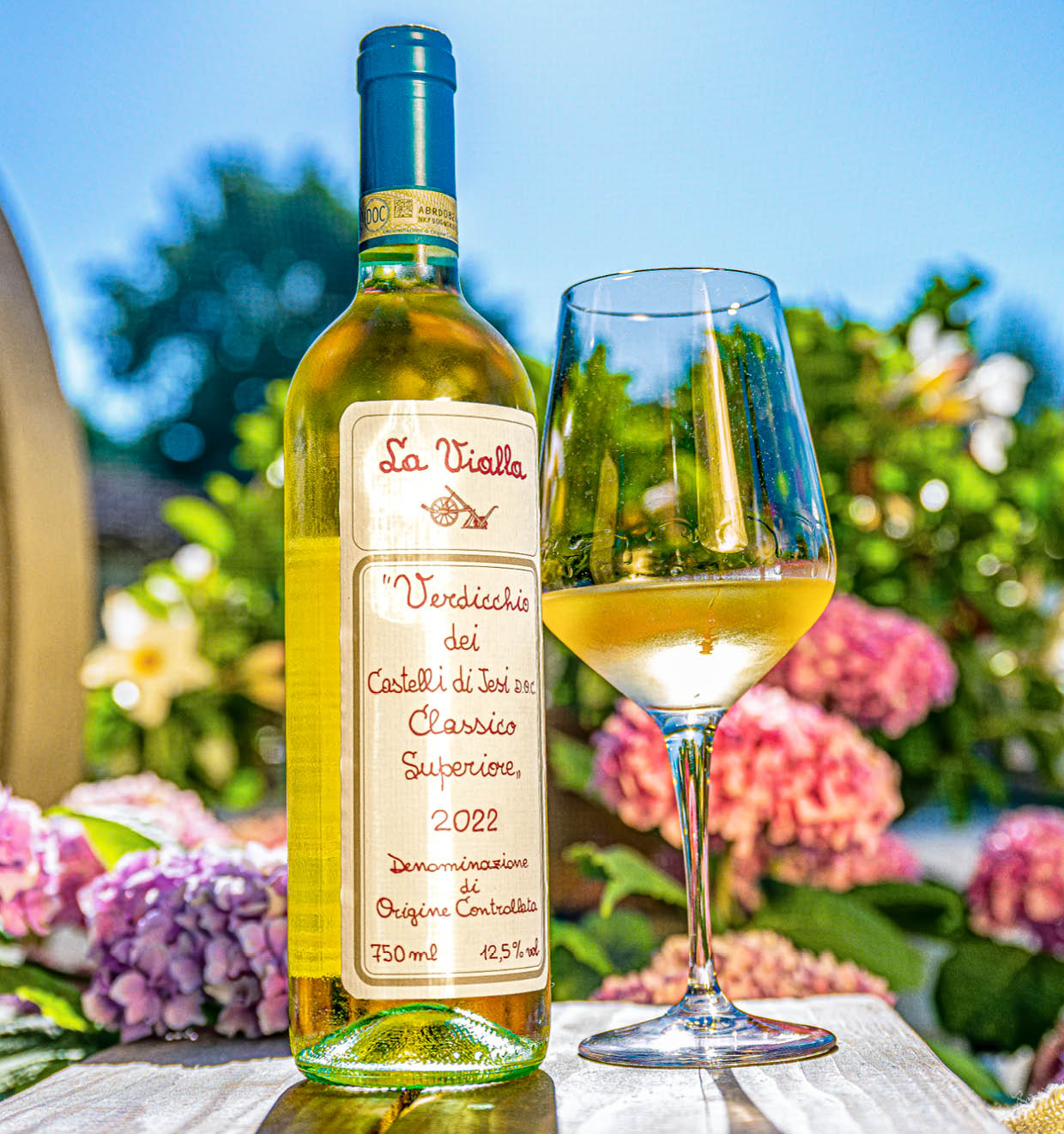Verdicchio dei Castelli di Jesi Classico Superiore D.O.C. 2022