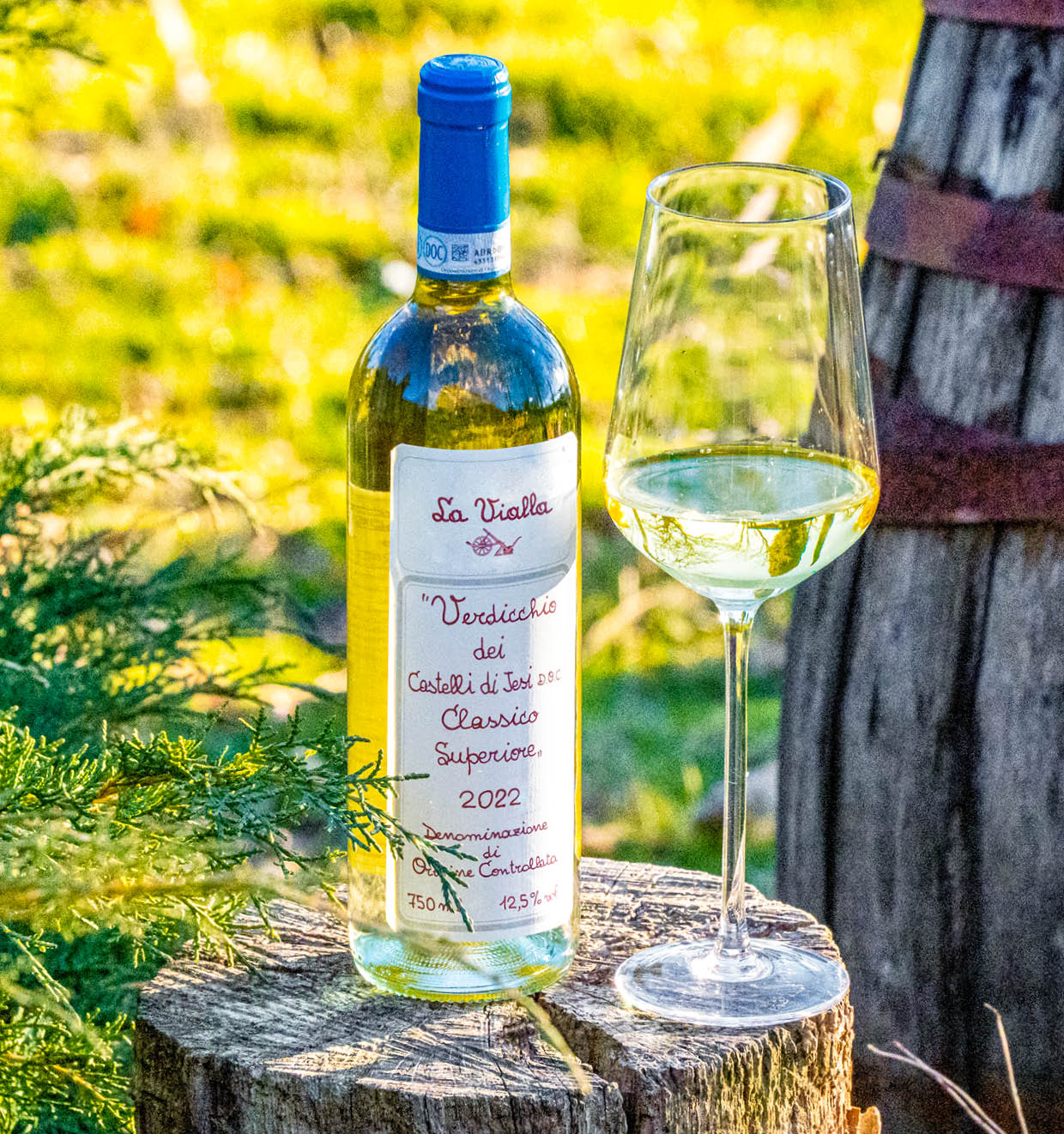 Verdicchio dei Castelli di Jesi Classico Superiore D.O.C. 2022