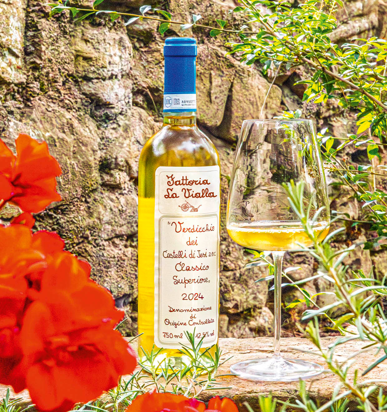 Verdicchio dei Castelli di Jesi Classico Superiore D.O.C. 2024