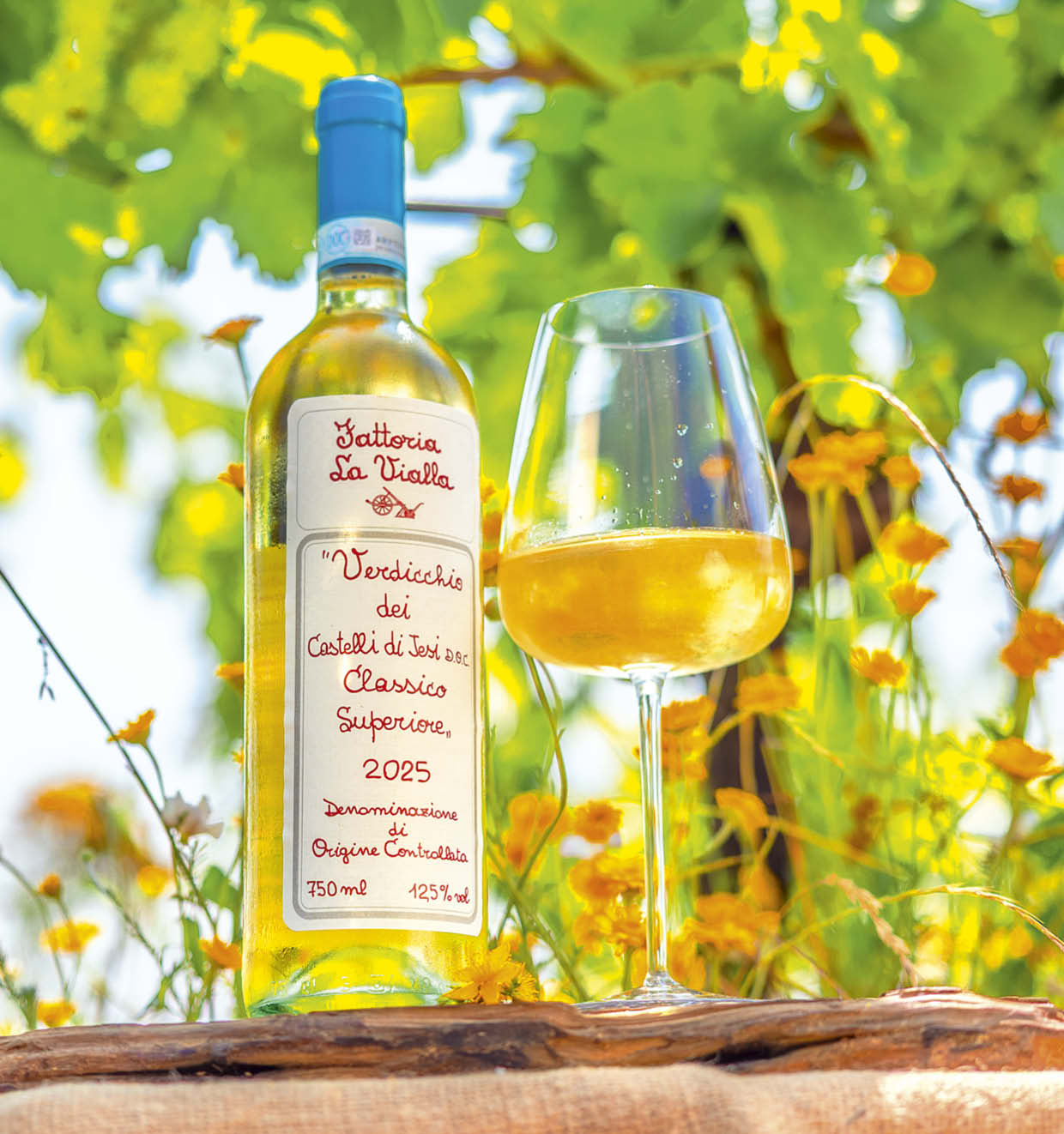 Verdicchio dei Castelli di Jesi Classico Superiore D.O.C. 2025