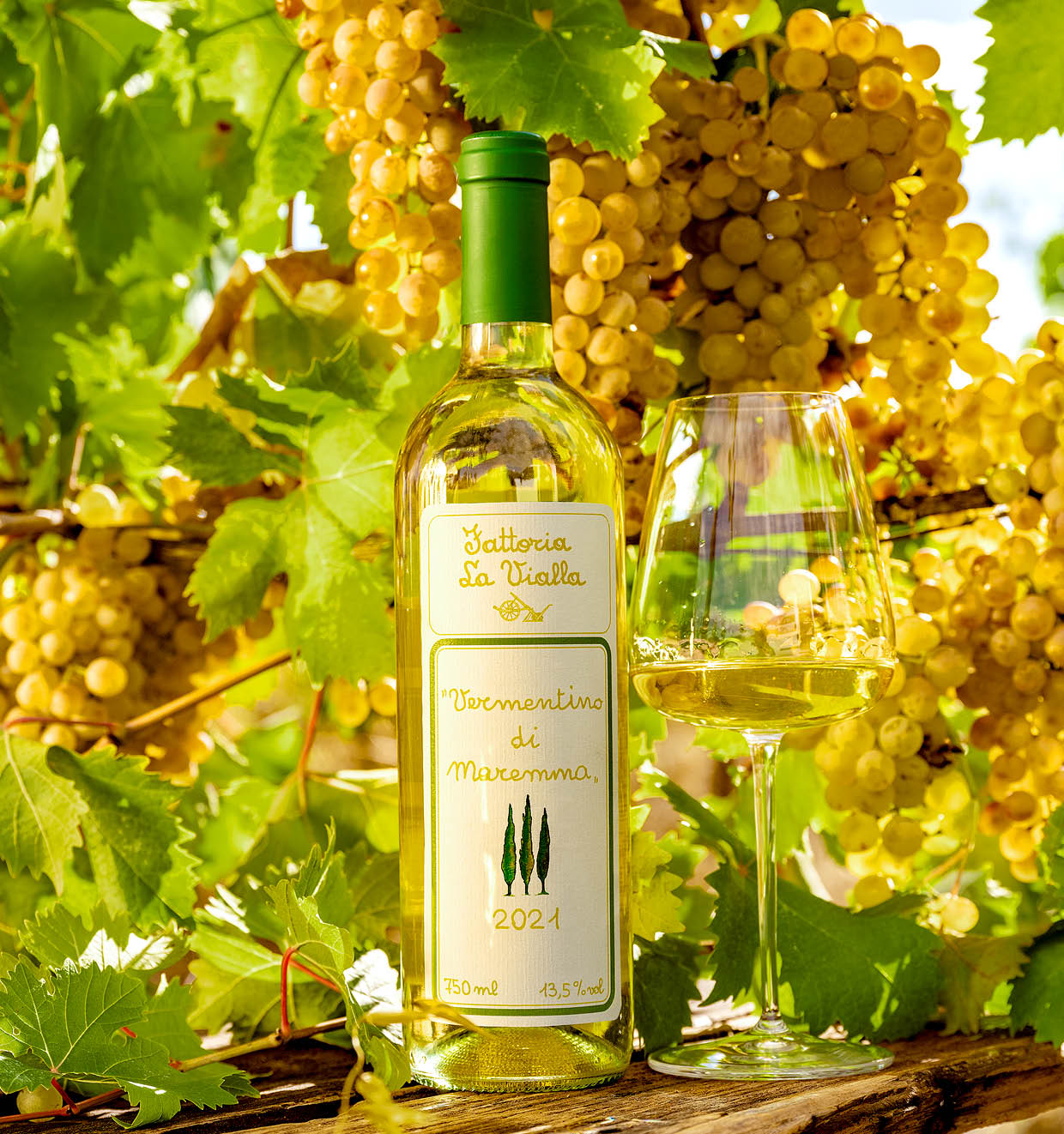 Vermentino di Maremma Toscana D.O.C. 2021