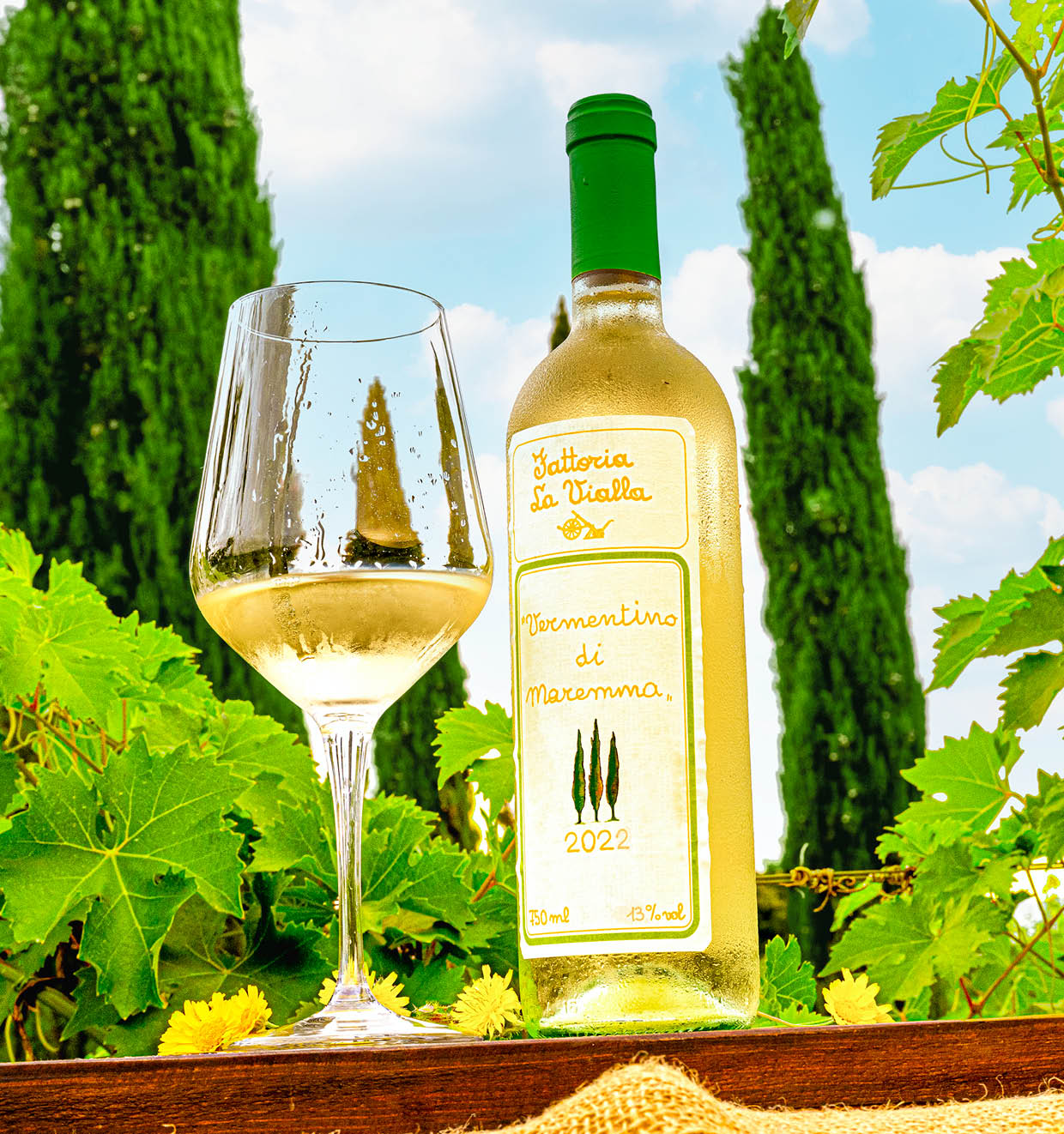 Vermentino di Maremma Toscana D.O.C. 2022