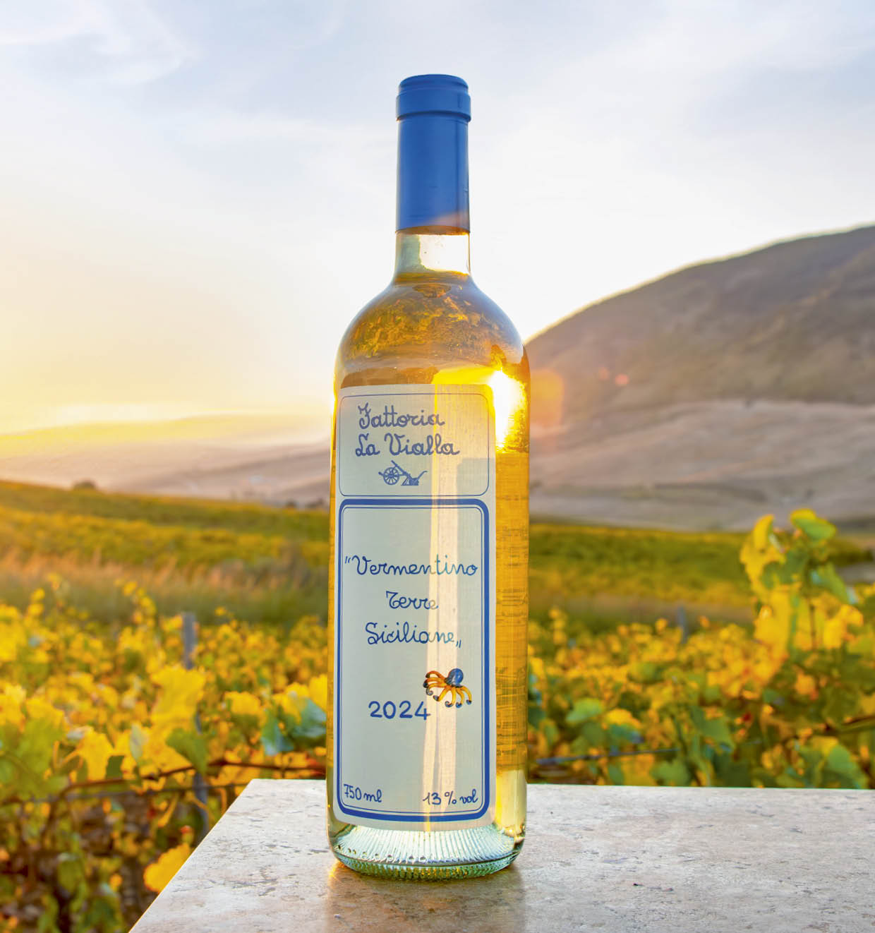 Vermentino Terre Siciliane  I.G.T. 2024