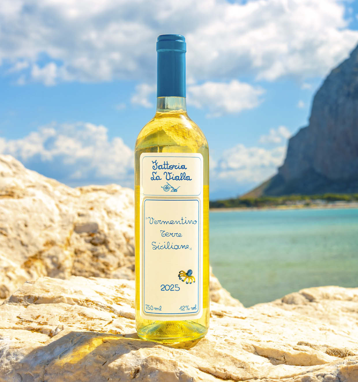 Vermentino Terre Siciliane  I.G.T. 2025
