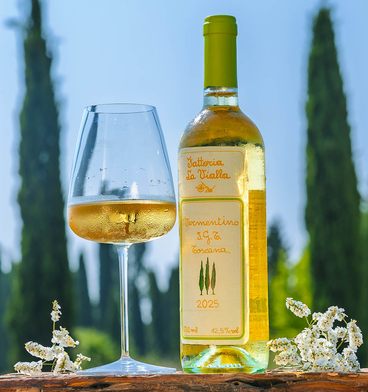Vermentino I.G.T. Toscana 2025