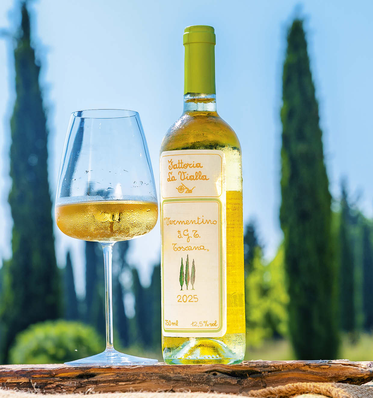 Vermentino I.G.T. Toscana 2025