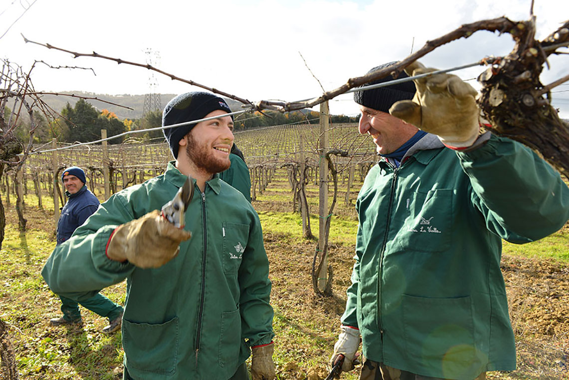 Chianti Superiore 2019