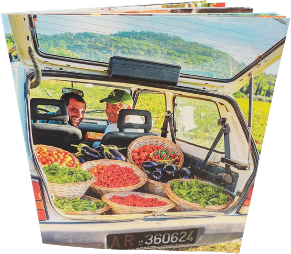 Immagine Catalogo