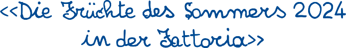 Titolo Catalogo