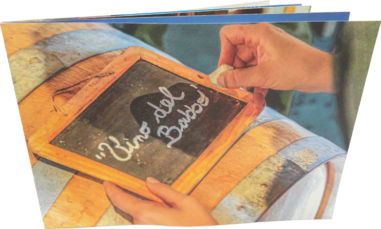 Immagine Catalogo