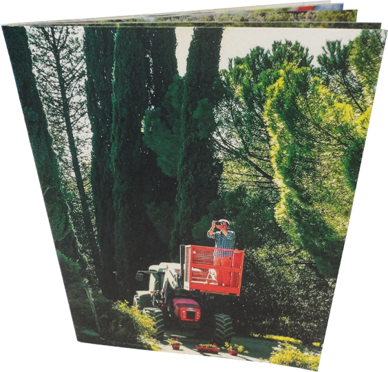 Immagine Catalogo