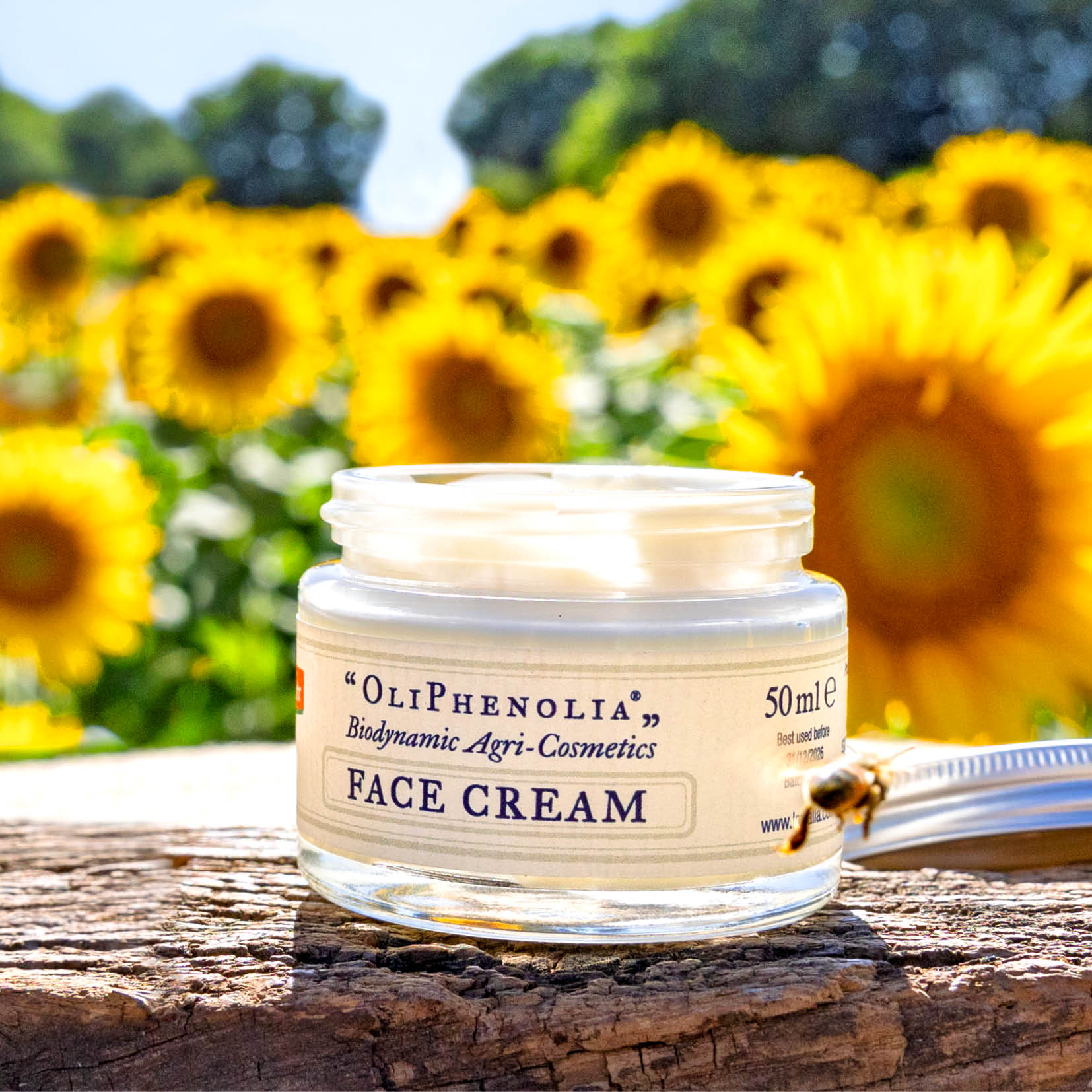 Face Cream