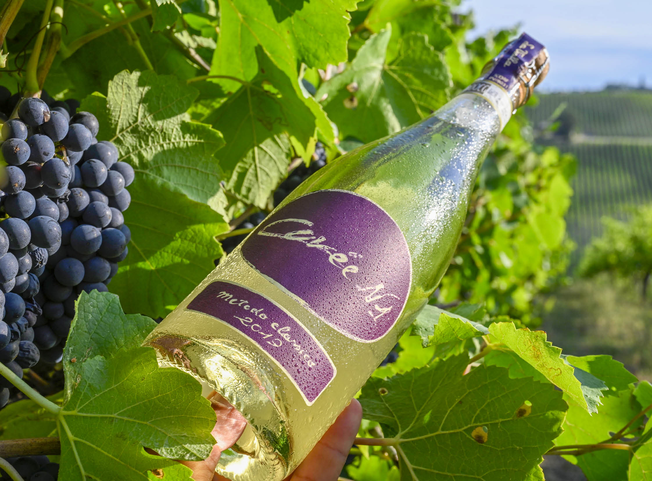 Cuvée N1 Metodo Classico Millesimato D.O.C.G. 2019