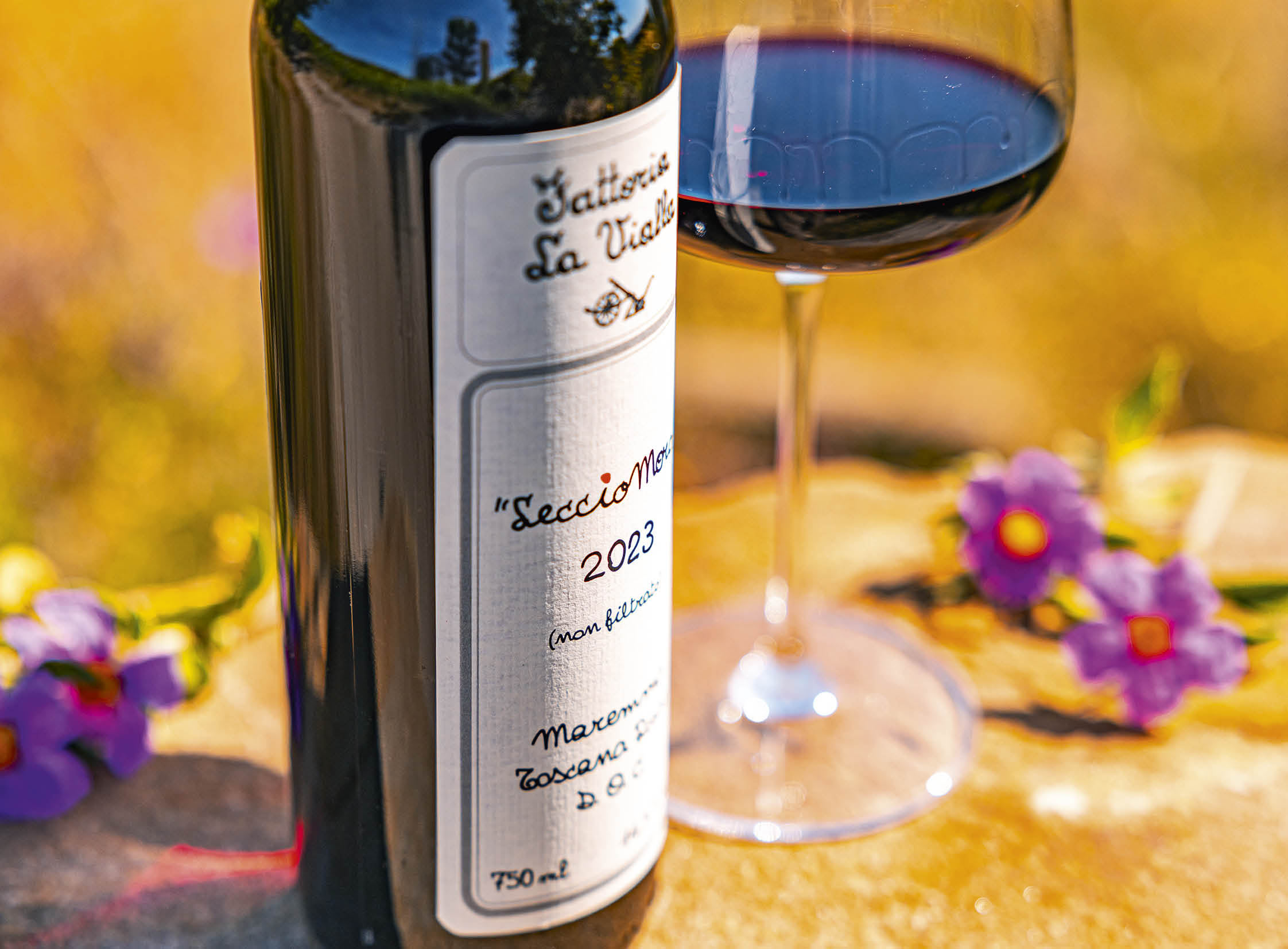 LeccioMoro Maremma Toscana Rosso D.O.C. 2023