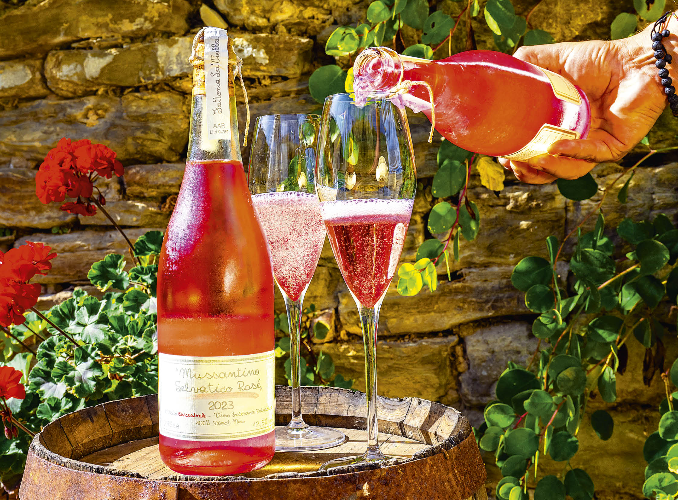 Mussantino Selvatico Rosé 2023