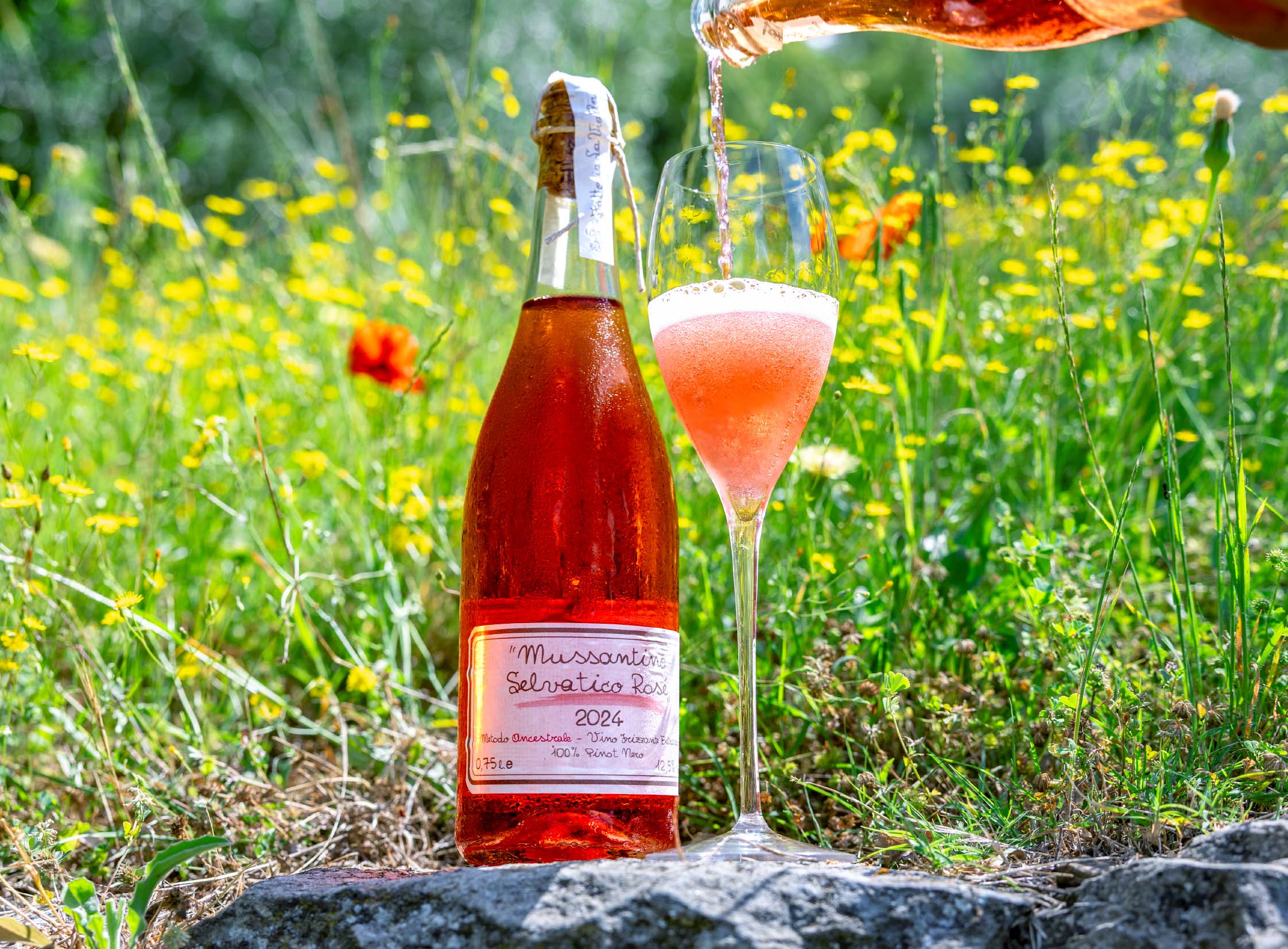Mussantino Selvatico Rosé 2024