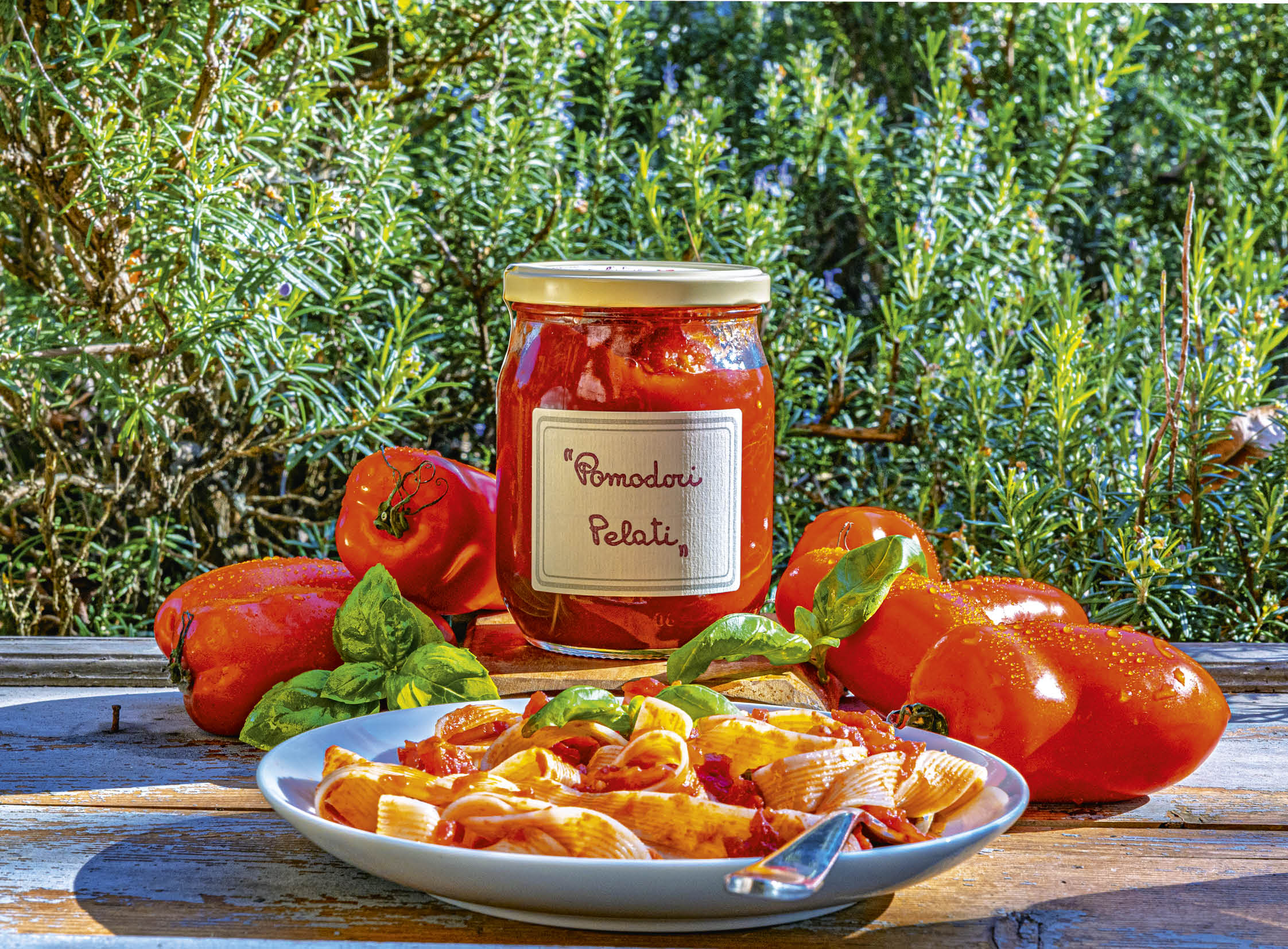 Geschälte Tomaten