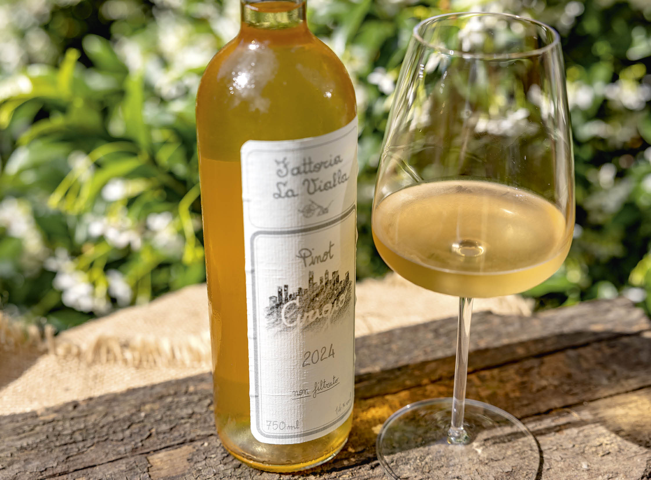 Pinot Grigio I.G.T. 2024