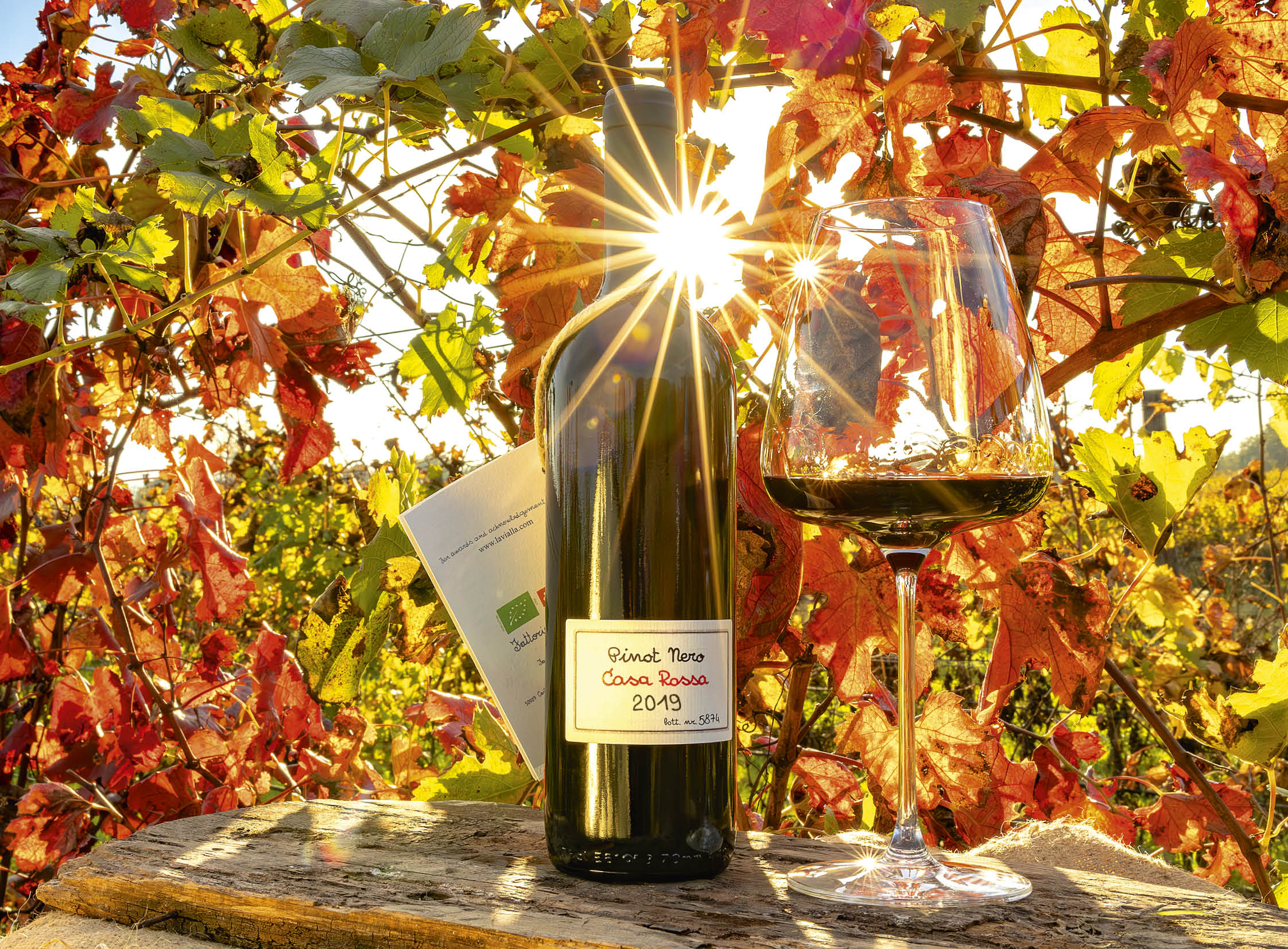 Pinot Nero Casa Rossa I.G.T. 2019