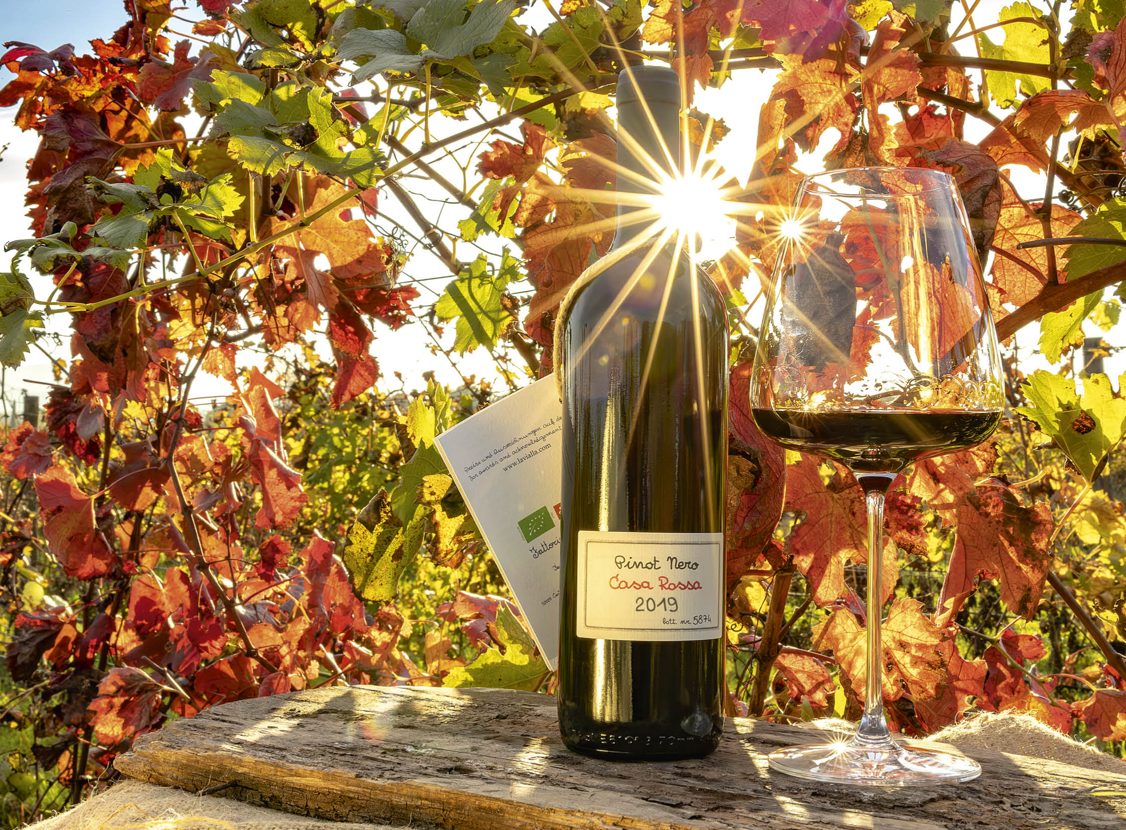 Pinot Nero Casa Rossa I.G.T. 2019