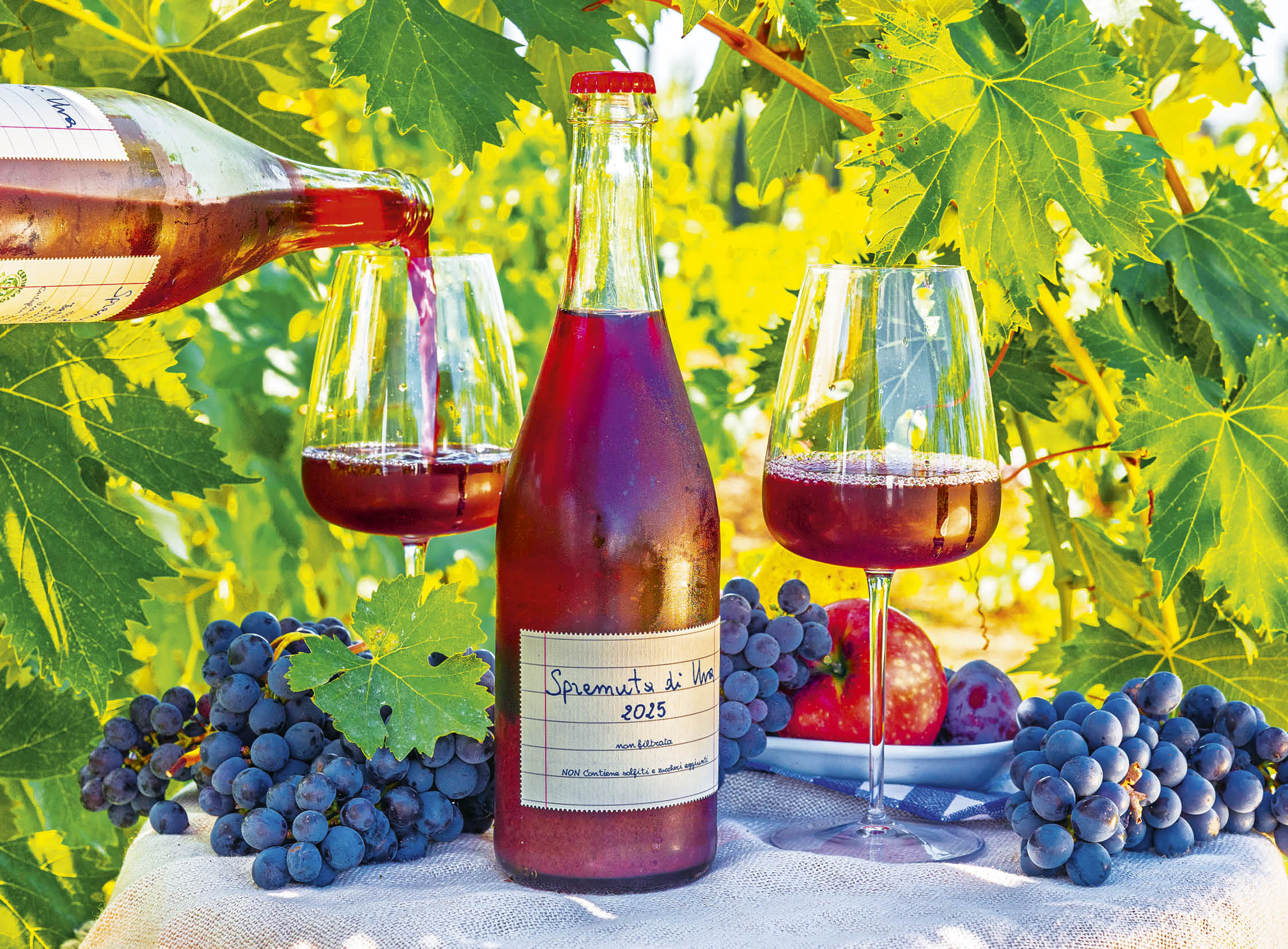 Spremuta di Uva 2025
