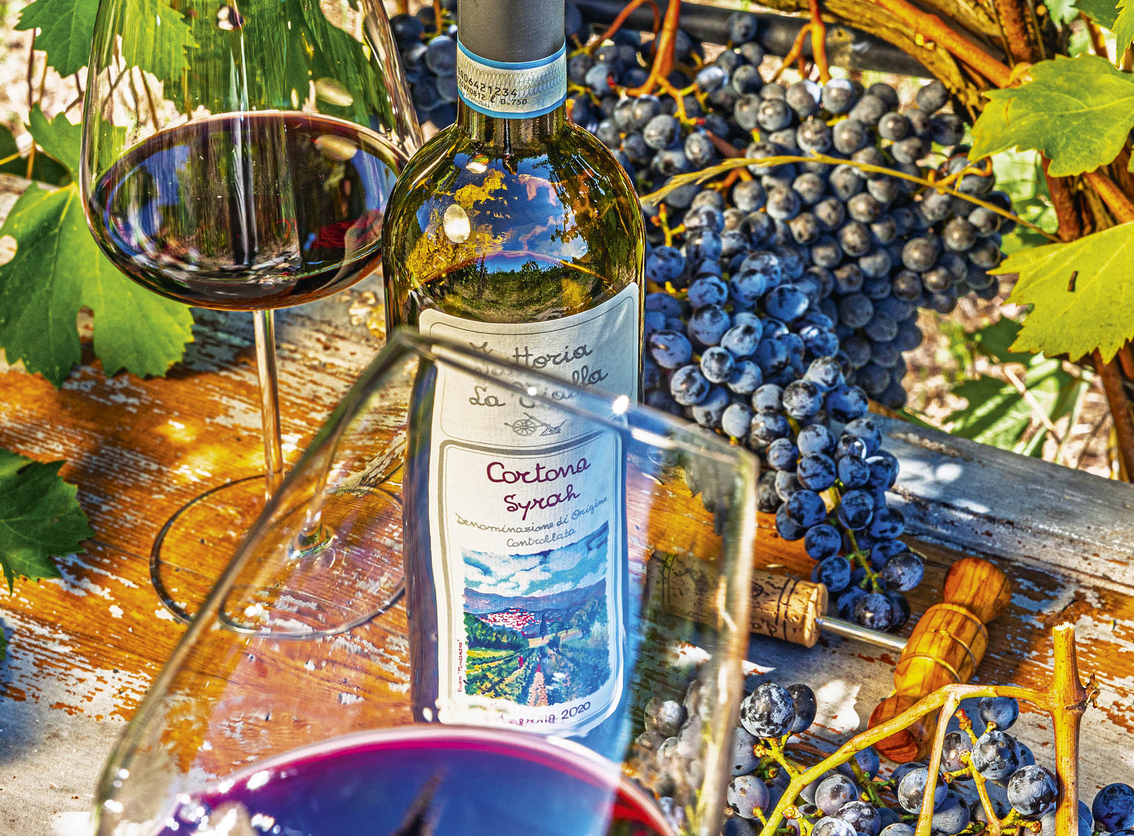 Cortona Syrah D.O.C. Riserva 2020