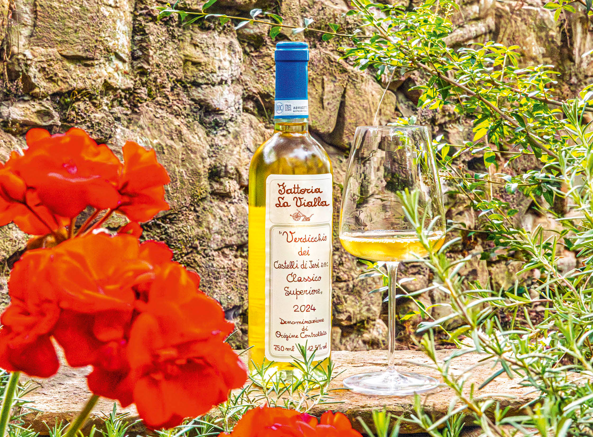 Verdicchio dei Castelli di Jesi Classico Superiore D.O.C. 2024
